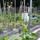 이경숙농장 이미지