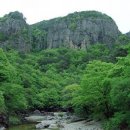 미래고속관광(주) 이미지