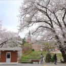 충청남도 역사박물관 이미지