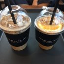 투썸플레이스 안성한경대점 | 투썸플레이스 _ 콜드브루 라떼, 오렌지 블라썸 라떼 솔직한 후기