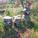 생활원예관리사 이미지