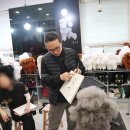 스케치애견미용학원 네이버블로그