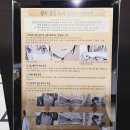 고스트 바둑왕 히카루의 바둑 원화전 전시회 후기 in 용산 아이파크몰