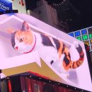 도쿄 여행: 신주쿠 "고양이 전광판", 신주쿠 "3D 고양이 전광판", ALTA 전광판, 유니카 비전(YUNIKA VISION 이미지