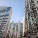 삼도공인중개사사무소 이미지