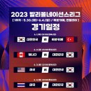 2023 vnl 일정 중계 이미지