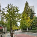 햇살가정의학과의원 이미지