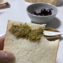 둥이PC방 | 그대란 한 사람이 선물해준 거예요