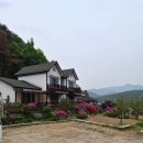 봉순펜션 | 포천 근교여행 가족펜션 추천 바베큐까지 완벽했던 봉순펜션