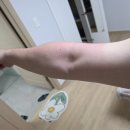 송정숲농원