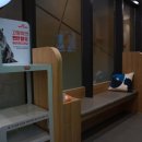 행신동물병원 이미지