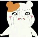 당감베스트정형외과의원 | 위례 정형외과 족저근막염 치료 후기 비용 총 정리