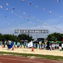 청송군체육관 실내체육관 | 경북 의성 초등학교 운동회 대행, 아이들의 웃음소리가 달랐던 3가지 이유 (이음스포츠)