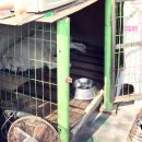 죽전곰탱이24시셀프세차장 이미지