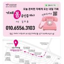 명랑시대핫도그 본오점 | 거제 아주동 명랑핫도그 와 치즈떡볶이 조합 최고⭕