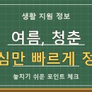 2026년 여름, 청춘 템플스테이로 특별한 힐링 떠나요! 신청부터 추천 사찰까지 완벽 가이드 이미지