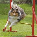 종영농장 이미지