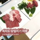 욕지도요참치 | [욕지도 맛집] 욕지도 생참치 맛집 솔직후기 | 예약 정보 | 가격정보