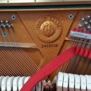 대림상회 이미지