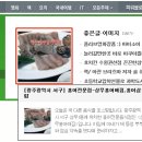 상무홍어애집