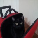 백운역 3번 출구 이미지