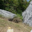 뜨레난농장 이미지