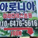 파라다이스부동산 공인중개사사무소 이미지