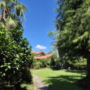 웨스티하우스 이미지