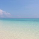 천안모아동물병원 이미지