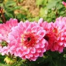 동북3성 행정사 사무소 이미지