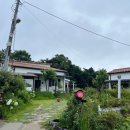 엘린휴버트 이미지