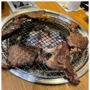 잠든고기