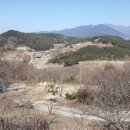 지리산과 섬진강이 보이는 구례 땅매매 이미지