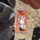 속초비치호스텔 | 리스본 알가르브 여행