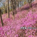 이경희