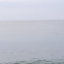 거제도파도소리가족낚시펜션 이미지