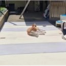 우아한개 이미지