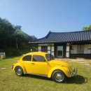 카페라벤더숲