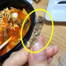 해명짬뽕 이미지