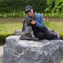 여우소풍 이미지