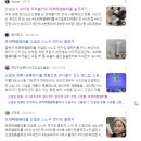 인셀덤 뷰티라이프