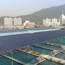 클린 태양광발전소 이미지