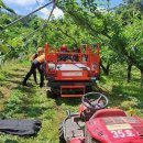 남성농장 이미지