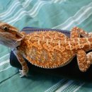 순덕농장 이미지