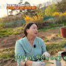 강회농장 티스토리