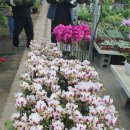 금호농원 이미지