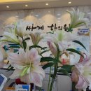 지리산한의원 이미지