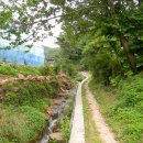 능금농장 이미지