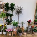검단플라워