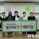 홍주여성늘솜협동조합 뉴스밴드